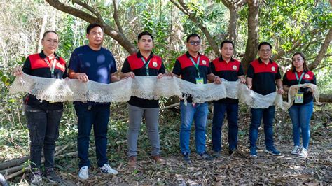 dambuhalang sawa sa calasiao pangasinan|DAMBUHALA!: Hinahanap na sawa sa Calasiao, Pangasinan, .